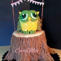 OWL ON A TREE STUMP CAKE